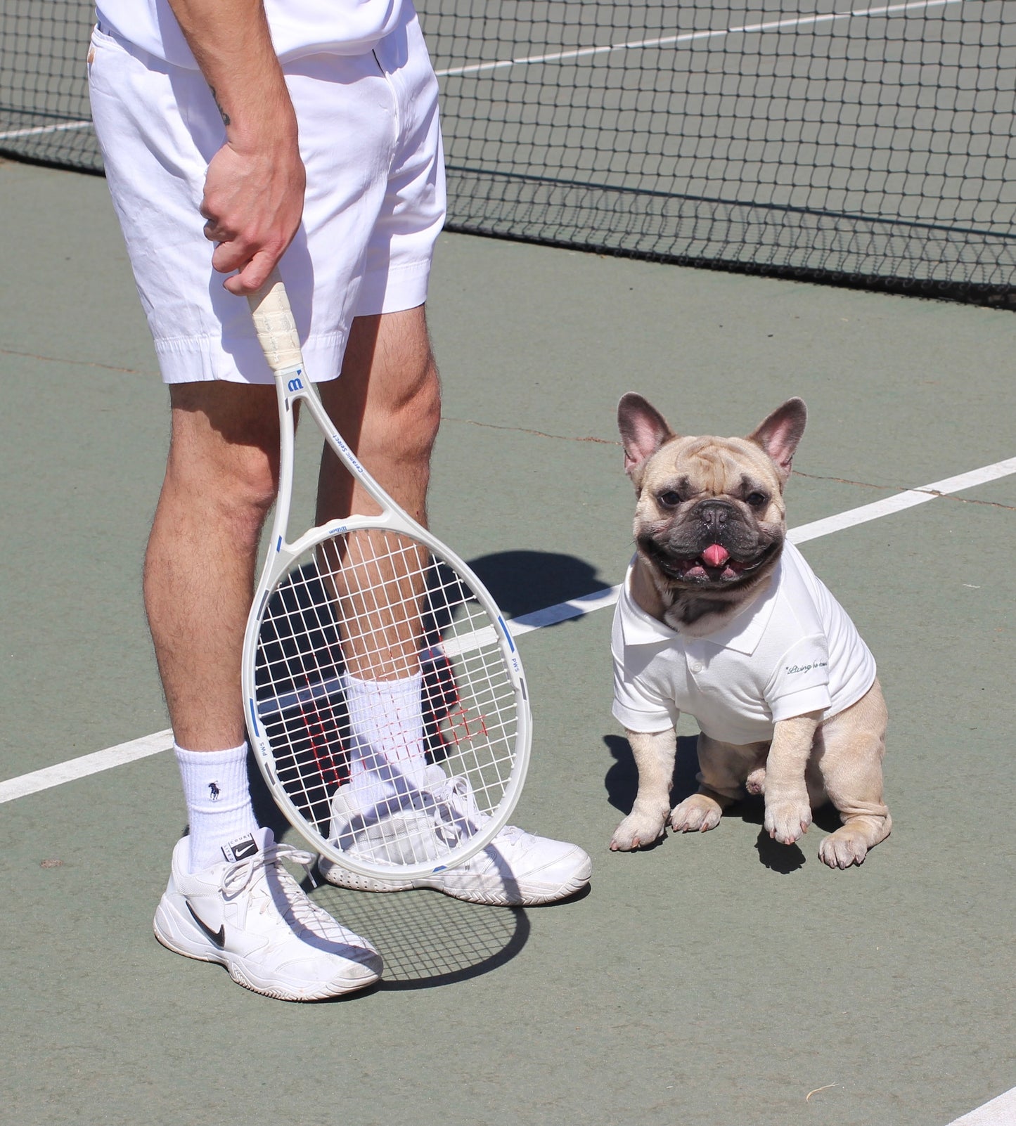 Courtside Polo